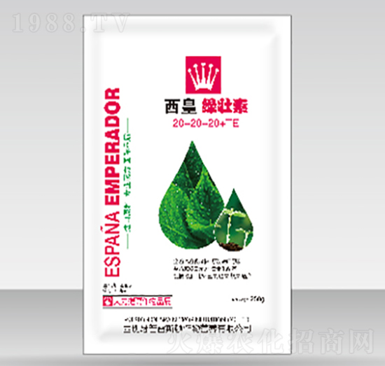 ���ʾG����20-20-20+TE-����˹�D