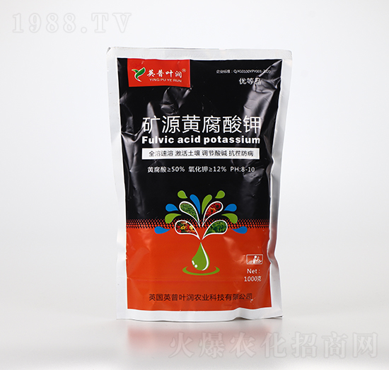 �VԴ�S�����-Ӣ���~��