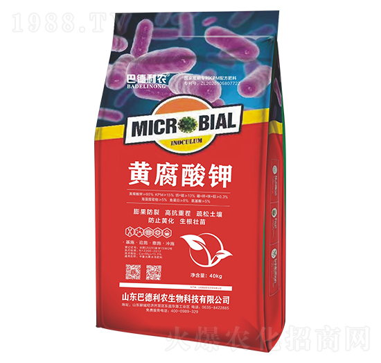 �S�����-�͵����r(n��ng)