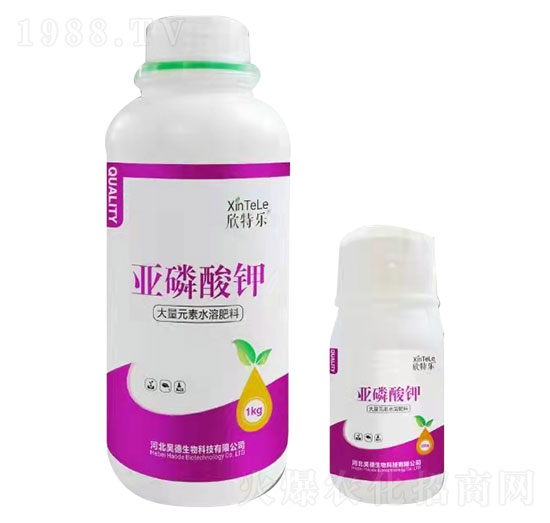 �������-���ؘ�-껵»���