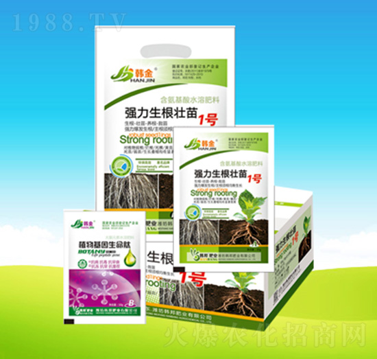 ������������1̖�M��-�n��ʘI(y��)