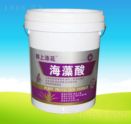 ������-�n��ʘI(y��)