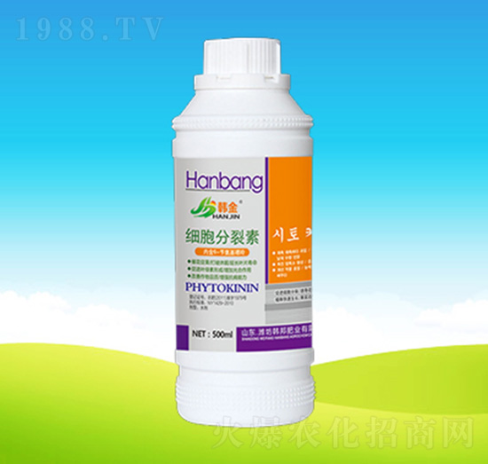 ����������-�n��ʘI(y��)