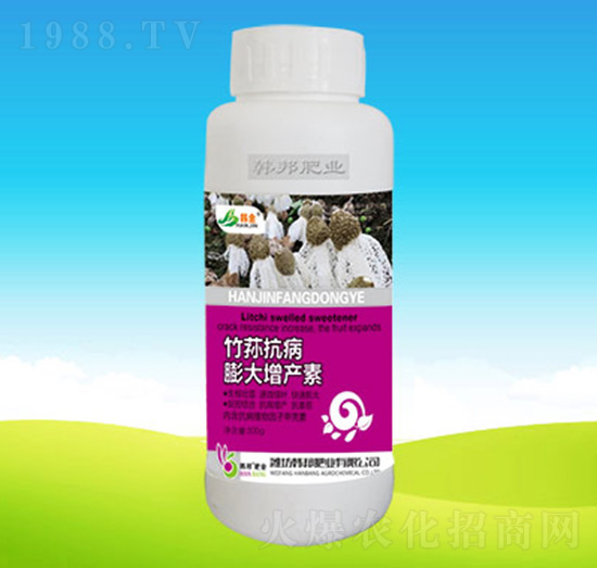 ���p����������a(ch��n)��-�n��ʘI(y��)