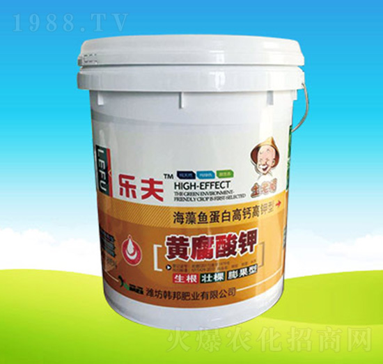 �����S�����-�n��ʘI(y��)