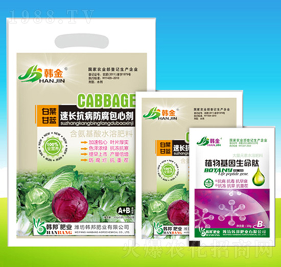 �ײ˸��{(l��n)���L�����������Ą�-�n��ʘI(y��)