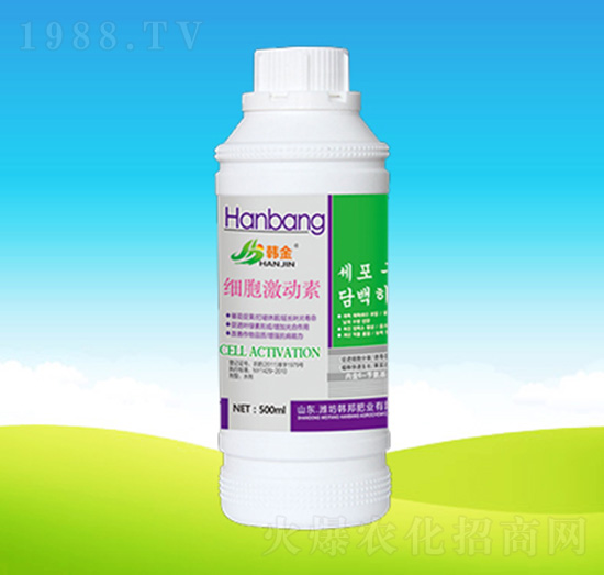 ��(x��)������(d��ng)��-�n��ʘI(y��)