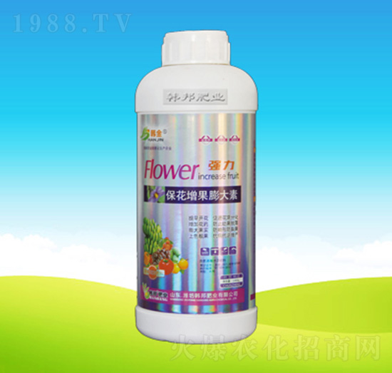 �������������-�n��ʘI(y��)