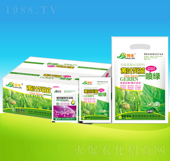 �S�~����һ���G-�n��ʘI(y��)