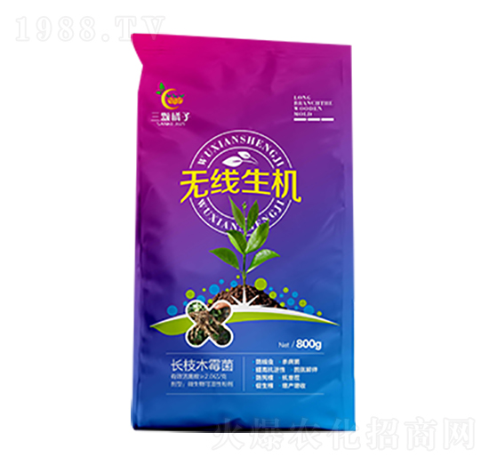 �o(w��)�����C(j��)-���w����