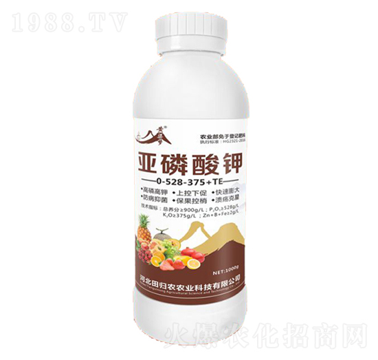 �������0-528-375+TE-�S����-�����r(n��ng)�I(y��)