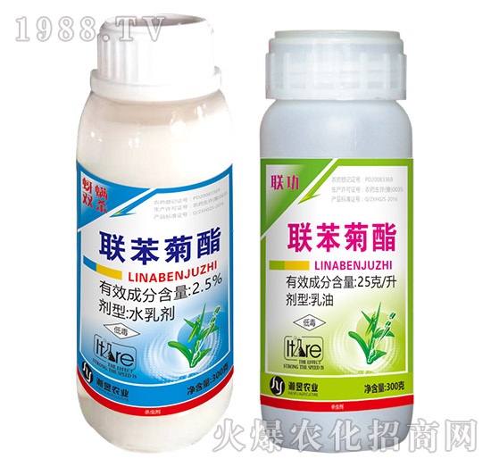 25��ÿ��(li��n)������-(li��n)��-���