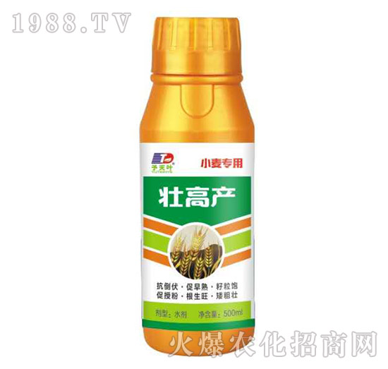 С�����ÉѸ߮a-���~����