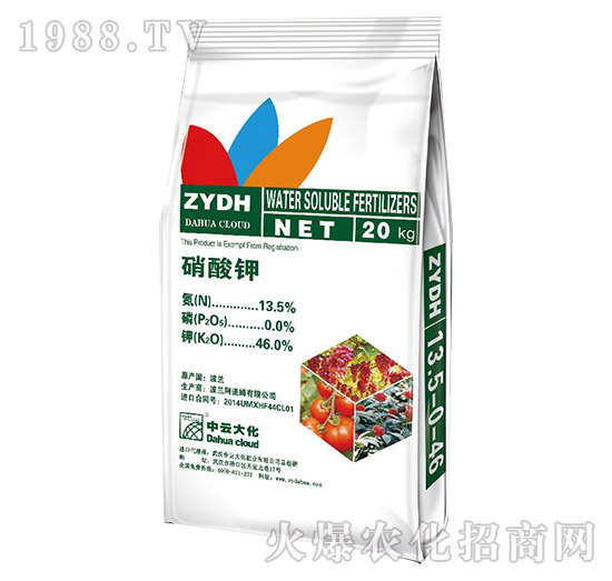 �����-���ƴ�