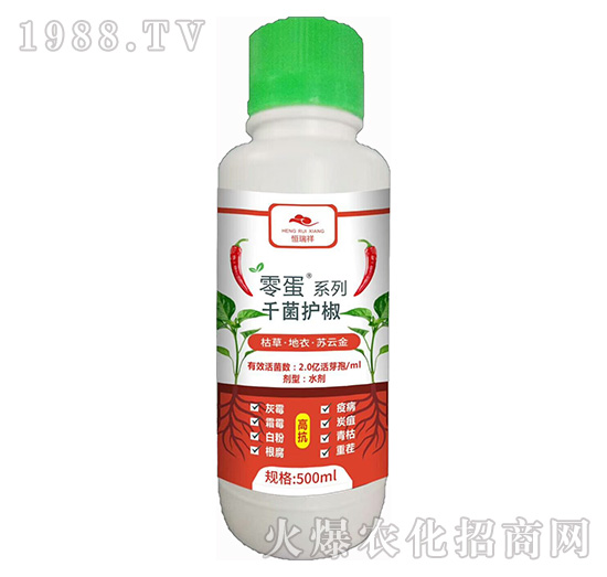 �ݲݡ����¡��K�ƽ�-ǧ���o��-������-�f�ڿ�