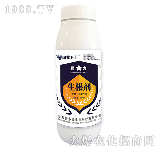 Ǥ�塤��������-������-�@���l(w��i)ʿ-������