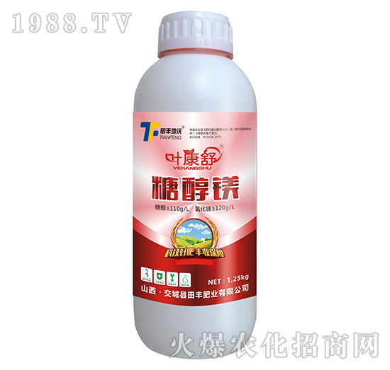 �Ǵ��V-�~����-���S����