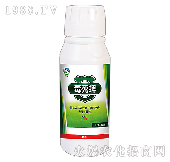 ������-���x(ch��ng)һ����-�l(xi��ng)�@�r(n��ng)��