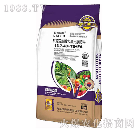 �VԴ�S�������Ԫ�ط���13-7-40+TE+FA-��ķ�؝�