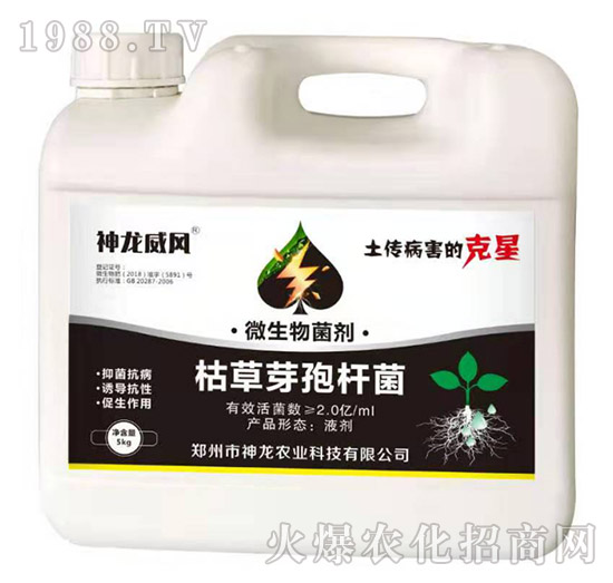 �ݲ�ѿ�ߗU��-�������L(f��ng)-�����r(n��ng)�I(y��)