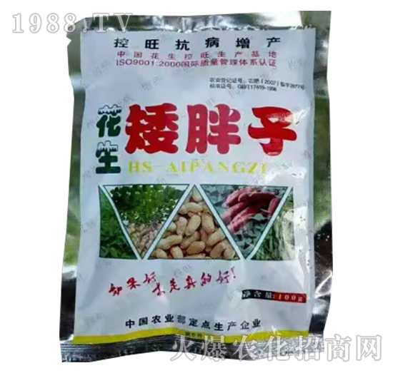 ����������-�����r(n��ng)�I(y��)