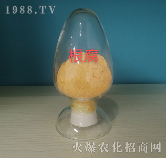 ��������ԭ��-���o���r�I(y��)