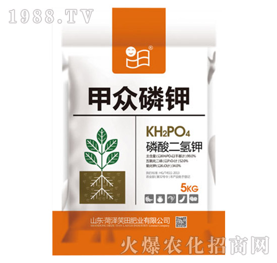 ��������-�ױ����-Ц��