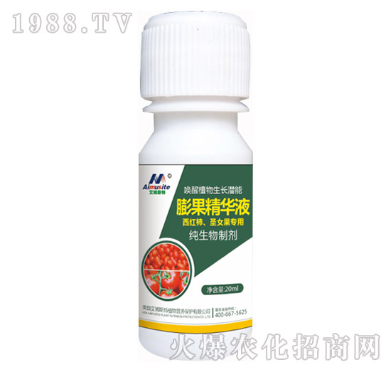 �������Ƅ�-���t����ʥŮ������-��ķ˹��