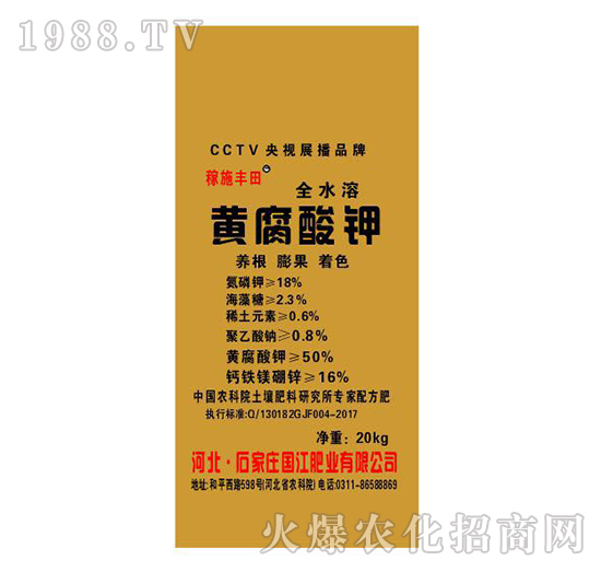 �S�����-�����ʘI(y��)