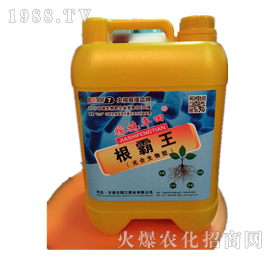 ������5L-�����ʘI(y��)