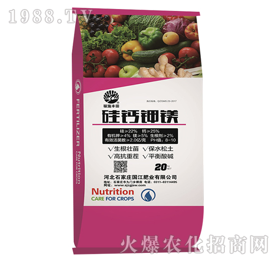 ���}��V-�����ʘI(y��)