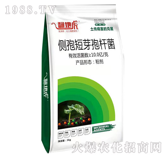 ���߶�ѿ�ߗU����1kg��-���ػ�-�T�_