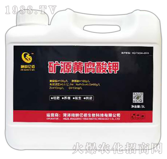 �VԴ�S�����-�����|��