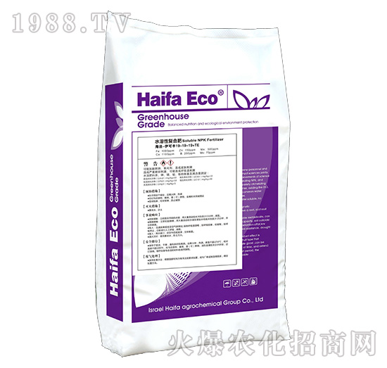 ˮ���ԏ�(f��)�Ϸ�19-19-19+TE-�����S-����