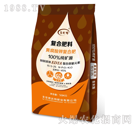 �S����⛏ͺϷ�15-5-25-�R���