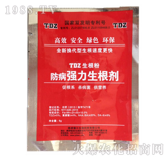 ��������������-� �����