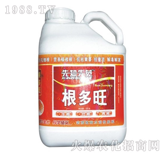 ������-��?t��ng)����? style=