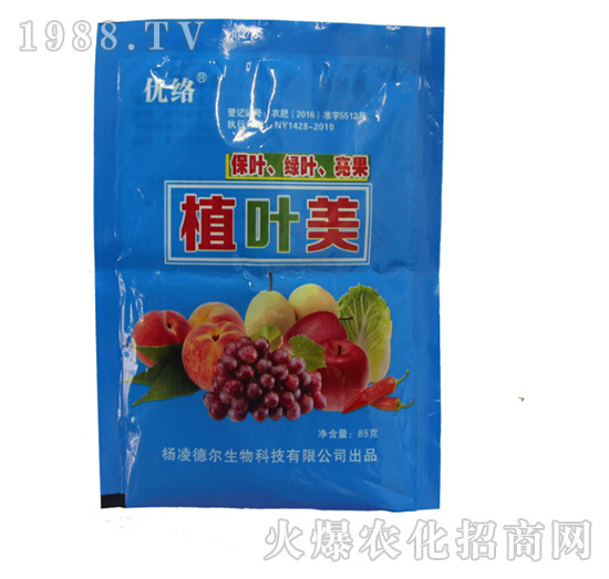 ��(y��u)�j(lu��)ֲ�~��-� �����