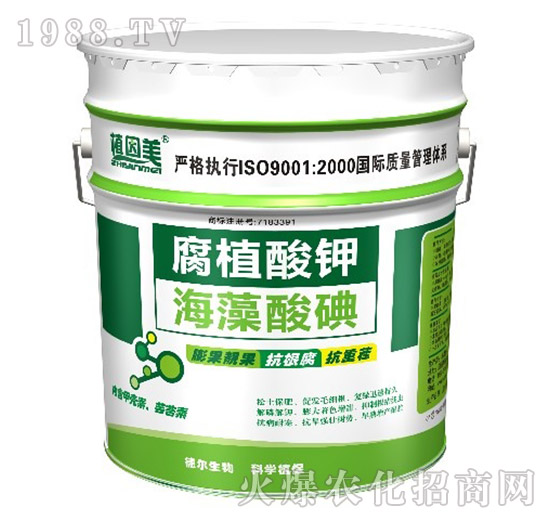 ��ֲ���-�������-� �����