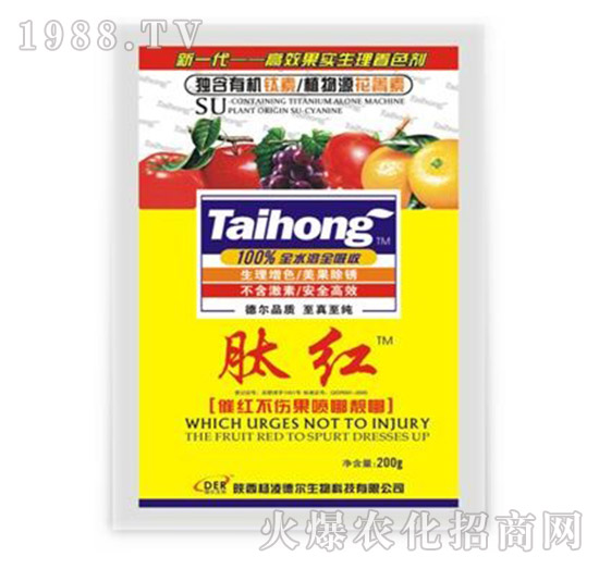 �ļt-� �����