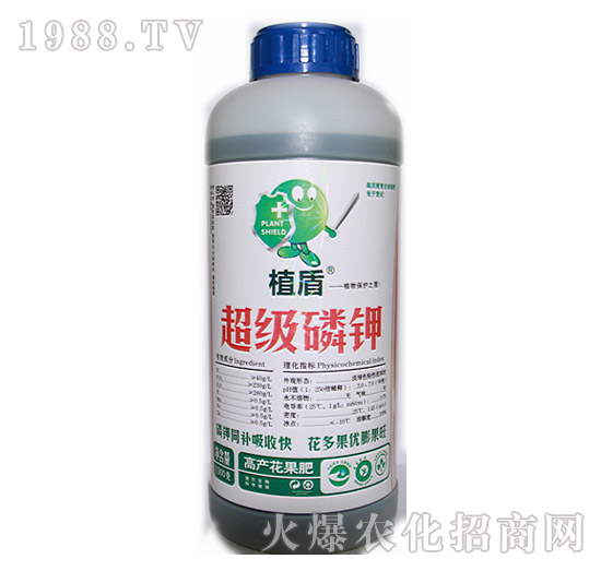 ����(j��)���-ֲ��-� �����