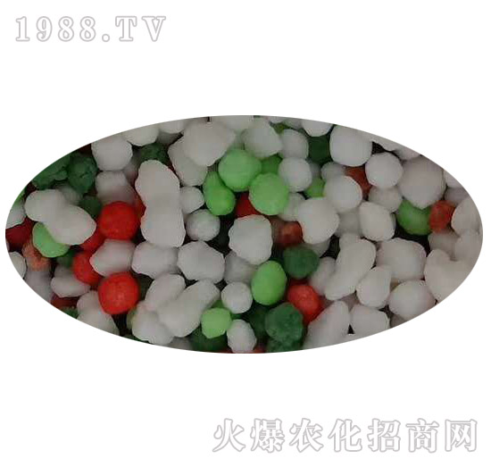 �������25-10-10-��