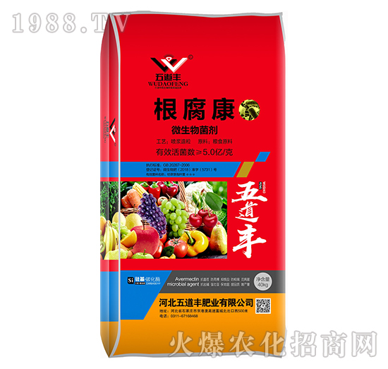 ΢�������-������-����S