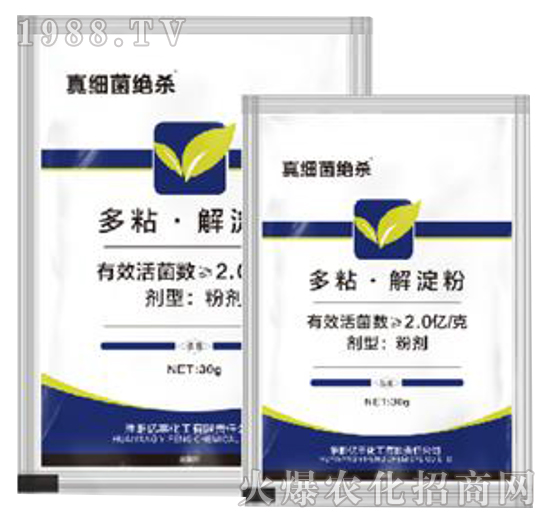 ��ճ�������-�漚���^��-�|�S����