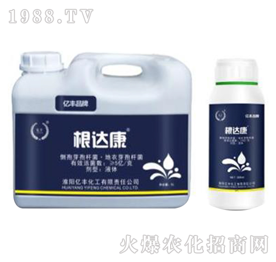 ����ѿ�ӗU��������ѿ�ߗU��-���_��-�|�S����