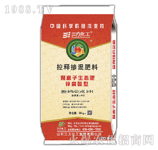 �\�����ጓ����24-16-8-��������