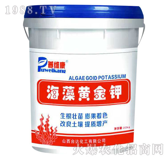 �����S���-�վS��-�_�_