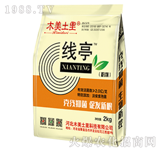 ��ͤ20kg-ľ������