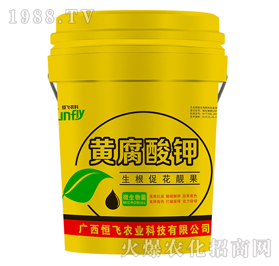 �S�����-���w�r(n��ng)�I(y��)