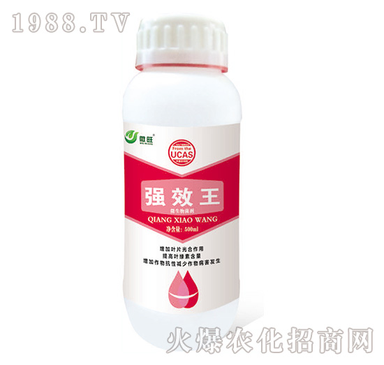 ��(qi��ng)Ч��-΢��-���S���